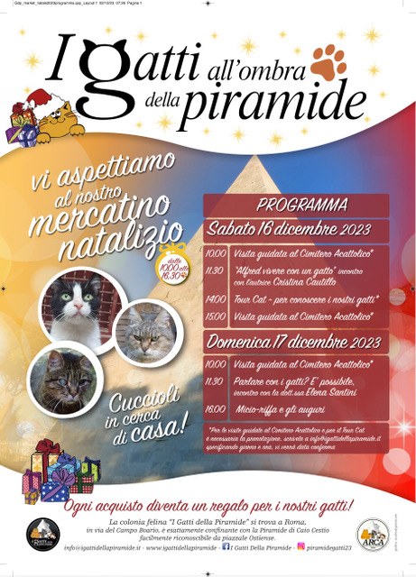 I gatti all'ombra della Piramide